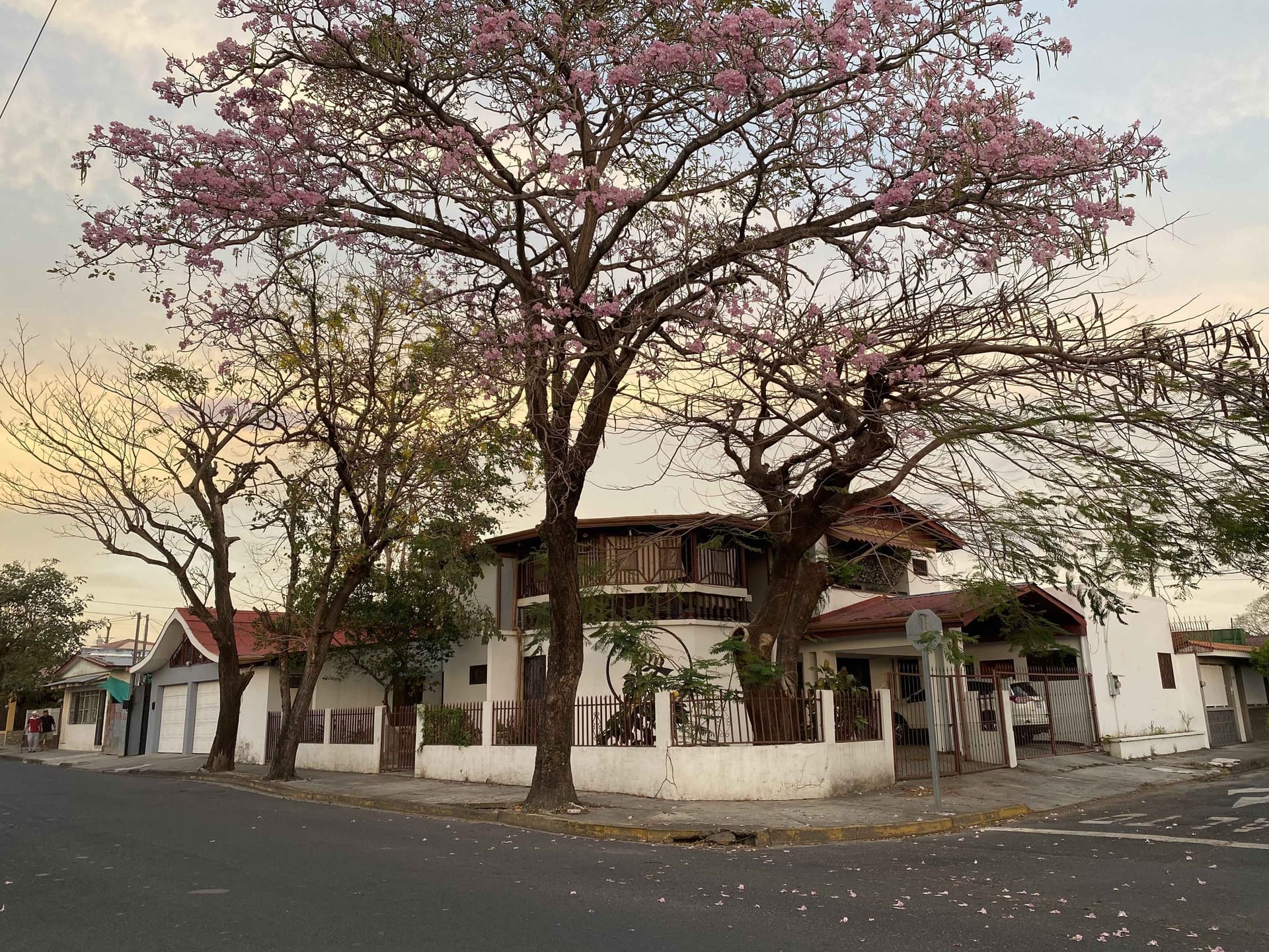 Casa Todah B&B imagen 3